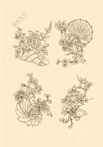 海贝花卉图片