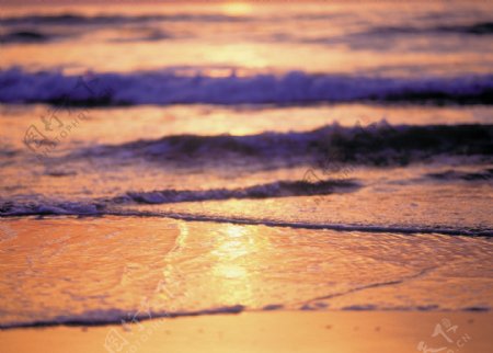 黄昏时候的海滩图片