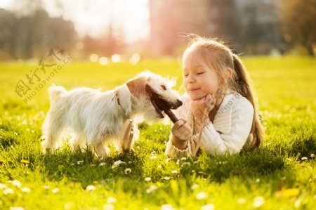 趴在草坪上的小女孩与小狗图片