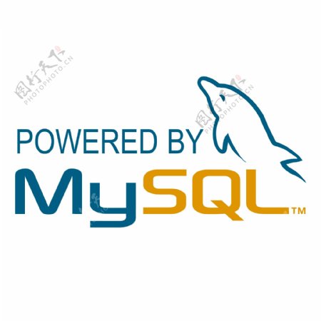 MySQL2