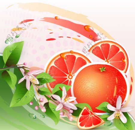 水果橘子素材1