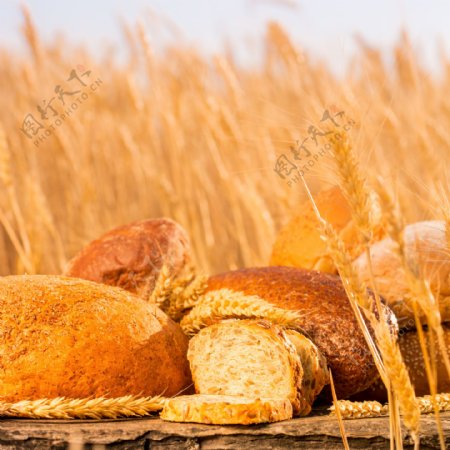 金黄色的面包和稻穗图片