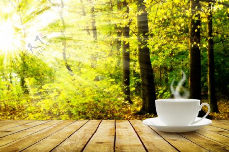 树林阳光与咖啡杯子图片