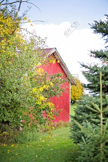隐藏在绿色植物后面的红色木屋