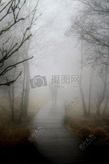 迷雾中的小路
