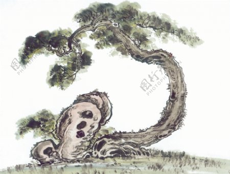 古树奇石中国画0007