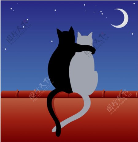 月亮下猫的爱情矢量图素材