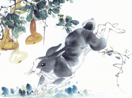 兔子十二生肖中国画0022