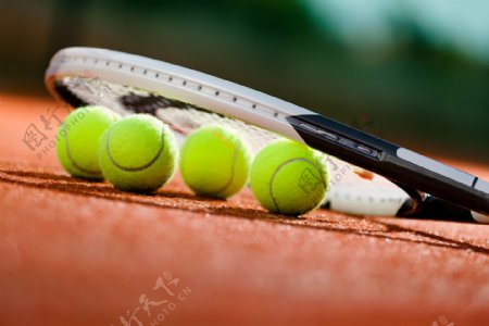 网球拍与网球图片