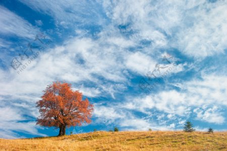 蓝天白云与秋季风景