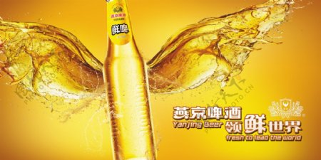 燕京啤酒宣传单