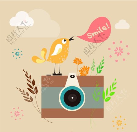 小鸟相机插画