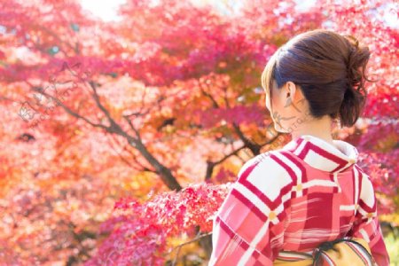 秋天的日本女孩图片