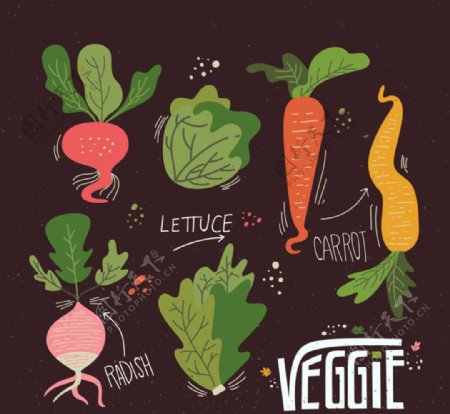 彩绘蔬菜设计矢量图