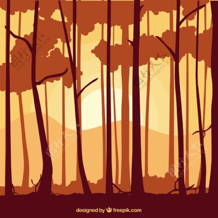 橙色色调背景的树干树的剪影
