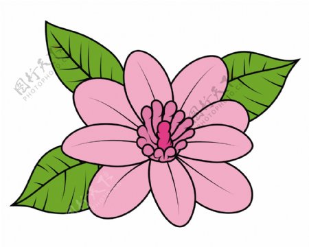 粉红色的野雏菊矢量插画