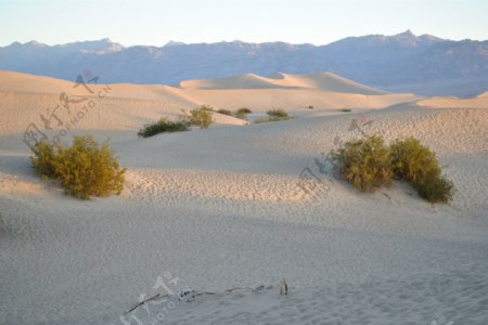 戈壁沙漠图片