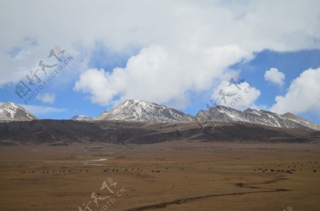 青藏高原图片