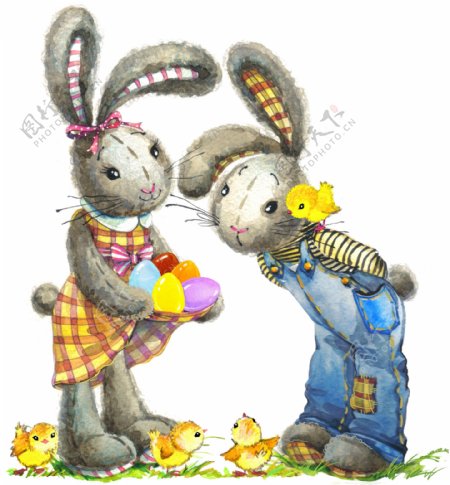 两只可爱的兔子插画