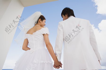 穿着婚纱礼服牵着手的情侣背影图片图片