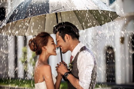 雨伞下的婚纱情侣图片
