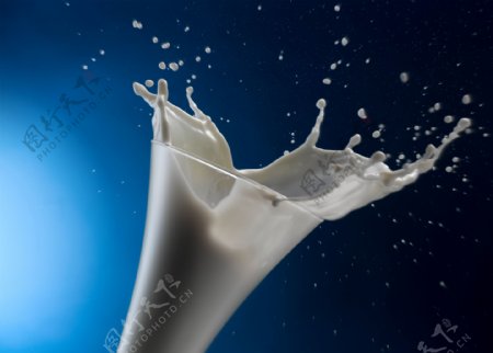 动感飞溅的牛奶图片