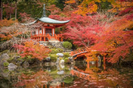 秋天日本风景图片