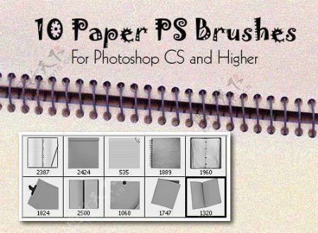 10种真实的纸张类型PS笔刷