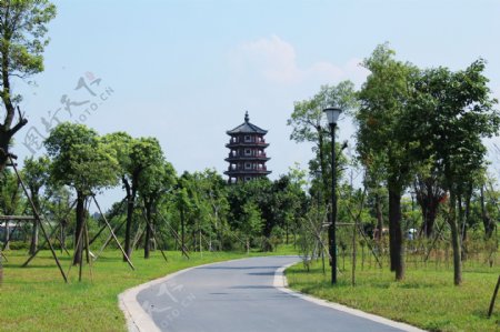 东莞华阳湖湿地公园图片