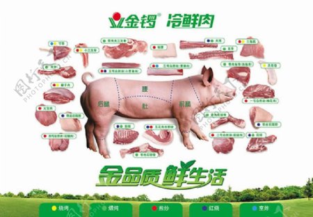 金锣冷鲜肉宣传海报PSD