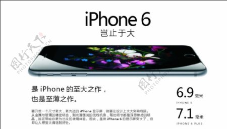 iPhone6苹果6图片