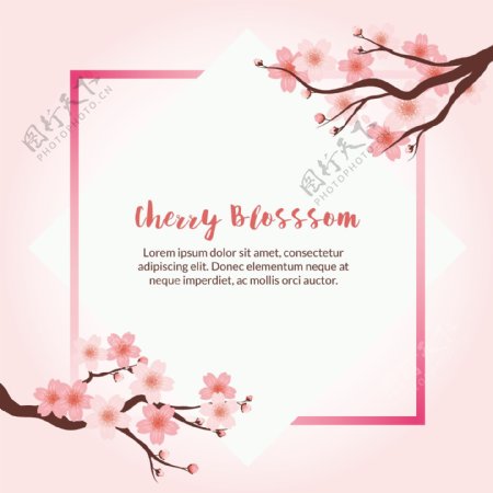 樱花装饰边框粉红色背景