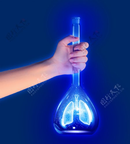 锥形瓶内的肺图片