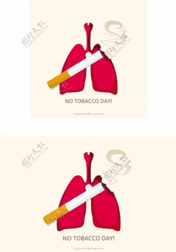 香烟背景肺