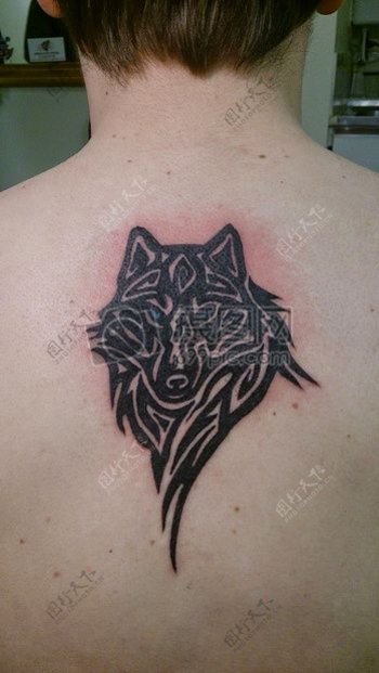 后背的狼纹身