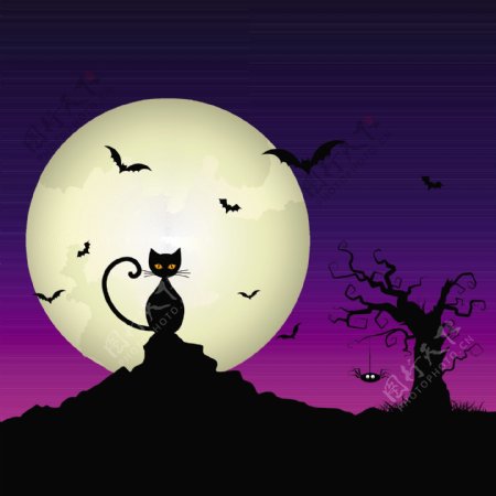 万圣节的背景有一只猫和一个满月