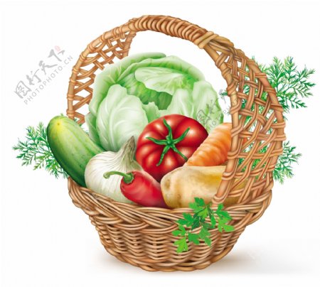 蔬菜篮子矢量素材