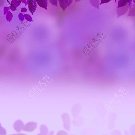 简约紫色背景