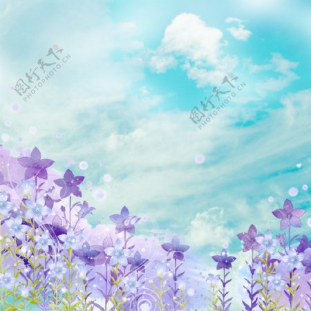 紫色小花背景素材
