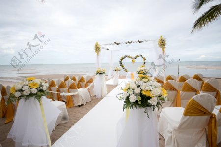 海洋和婚礼现场图片素材下载