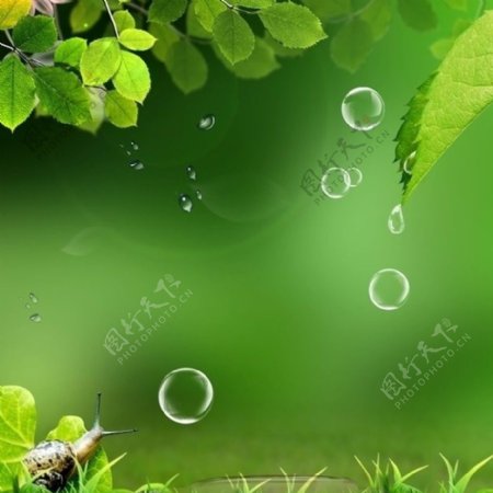 绿色清爽水滴气泡背景