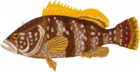 绣花动物鱼石斑鱼色彩免费素材