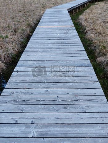沼泽中的木桥