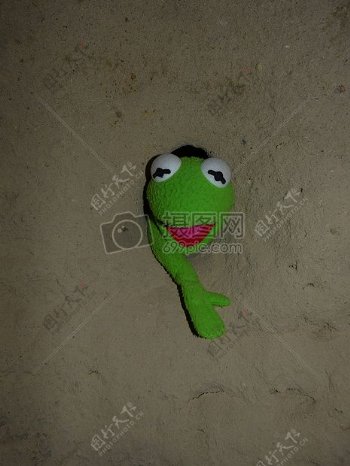 沙土里的玩具青蛙
