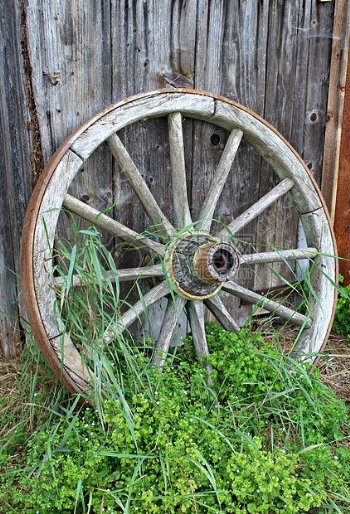 草丛中的破旧木轮