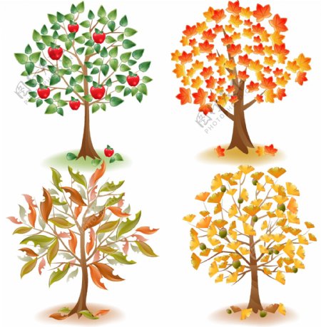 秋天丰收的大树插画