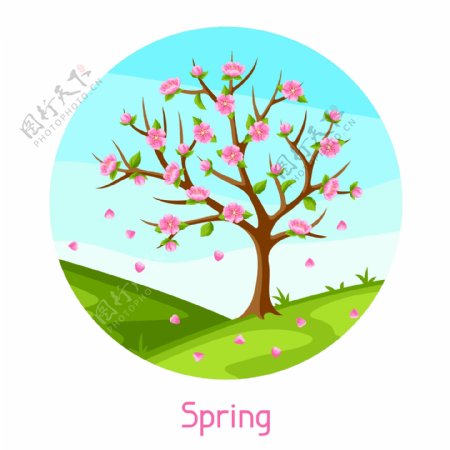 春天开满桃花的桃树插画