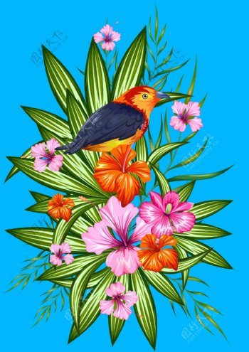 热带植物和小鸟插画