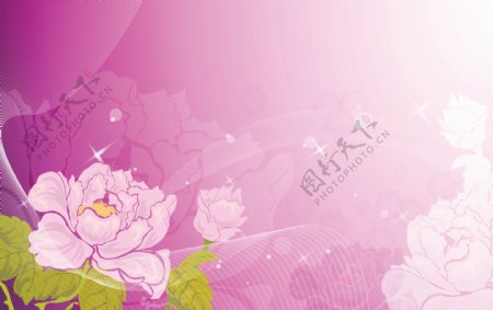 中式唯美粉色牡丹移门画