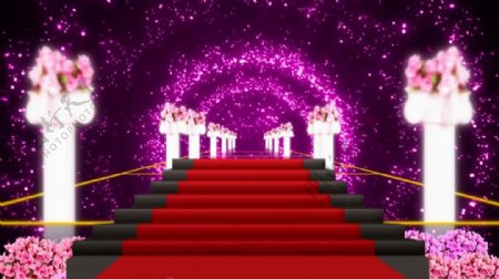 梦幻紫色婚礼通道灿烂星光动态视频素材